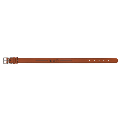 Large 23" x 1" Leatherette Dog Collar