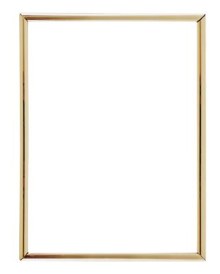Gold Self-Adhesive Slide-In Frame for Mounting to Plaque